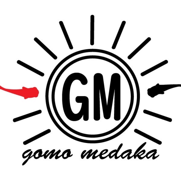 GOMO MEDAKA