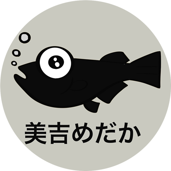 美吉めだか