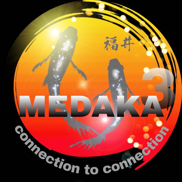 medaka3